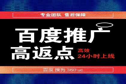 百度推广平台案例集锦：成功案例背后的故事